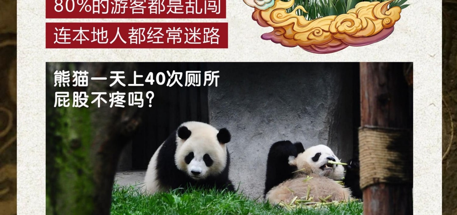 成都三星堆·熊貓基地1日探秘（穿越三千年對話青銅神樹+解密《山海經》熊貓奇緣+熊貓行為觀察家）