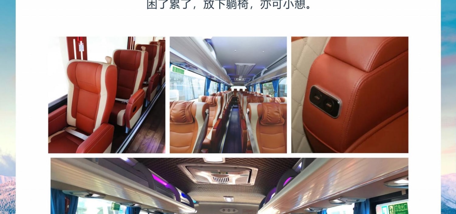 成都三星堆·熊貓基地1日探秘（穿越三千年對話青銅神樹+解密《山海經》熊貓奇緣+熊貓行為觀察家）
