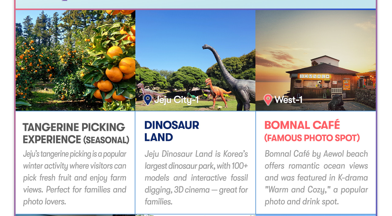 Jeju Private Car Charter Tour