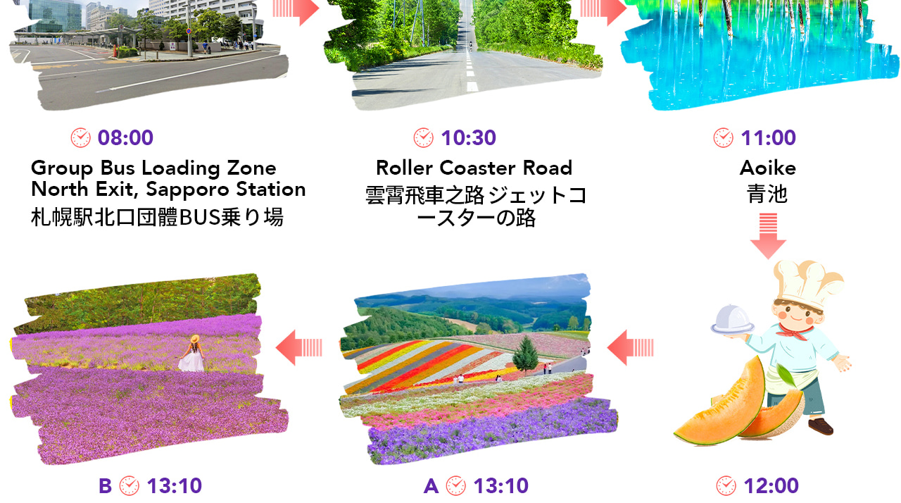 北海道賞花｜雲霄飛車之路&青池&四季彩之丘/富田農場&精靈露臺一日遊｜札幌出發｜可選含自助午餐