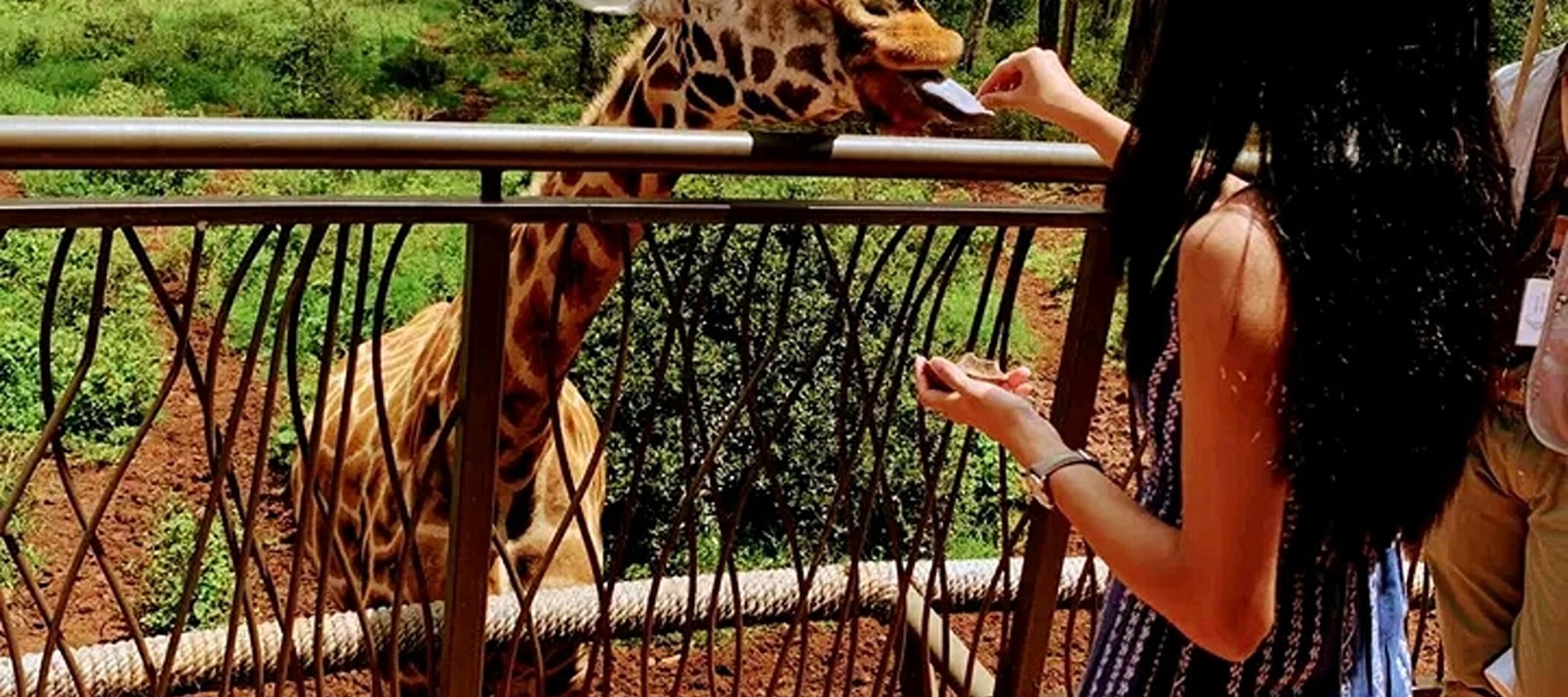 Giraffe Centre & Kazuri Beads Factory Visit