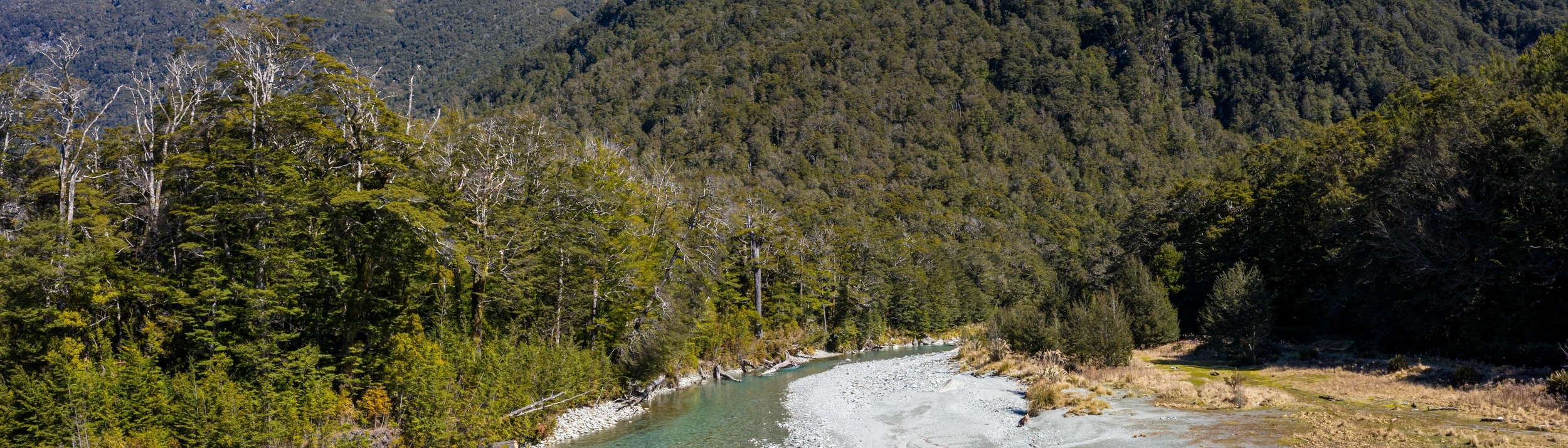 紐西蘭達特河（Dart River）噴射快艇體驗 & 荒野冒險之旅