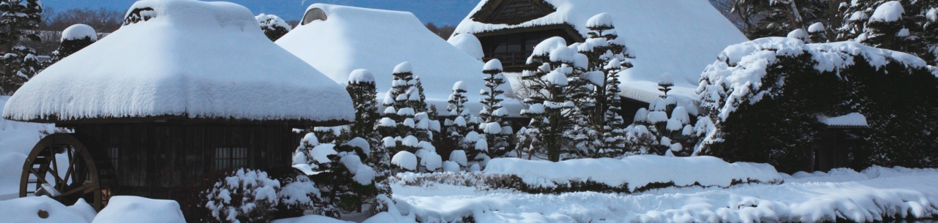 忍野八海