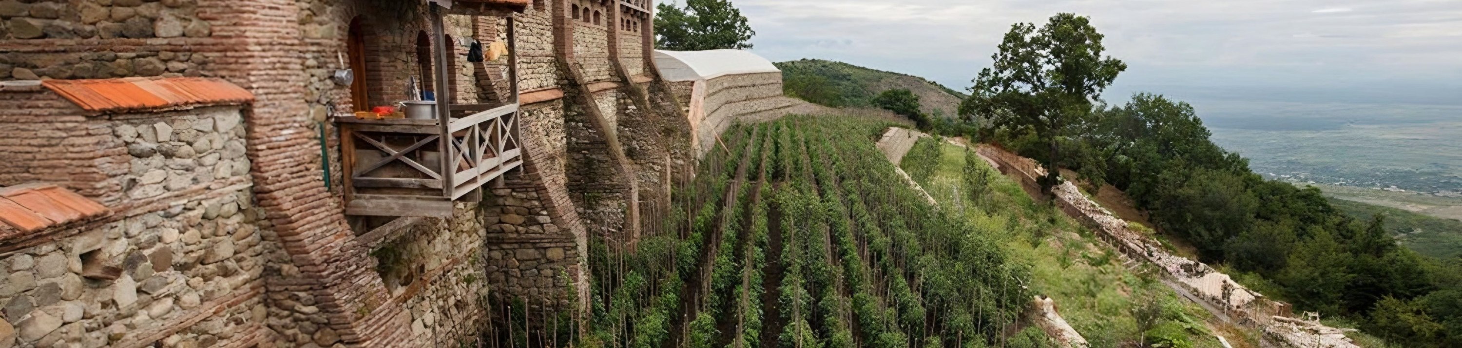 Tbilisi: Kakheti, Signaghi, & Chateau Tour with Wine Tasting