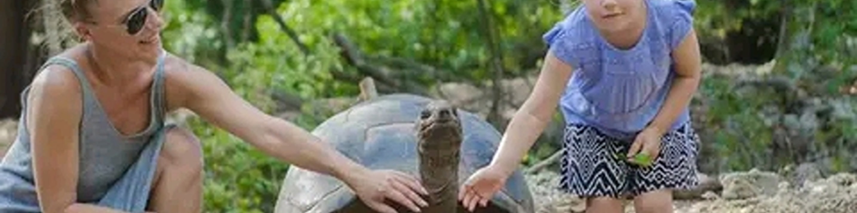Zanzibar: Prison Island & Giant Tortoises with Pickup