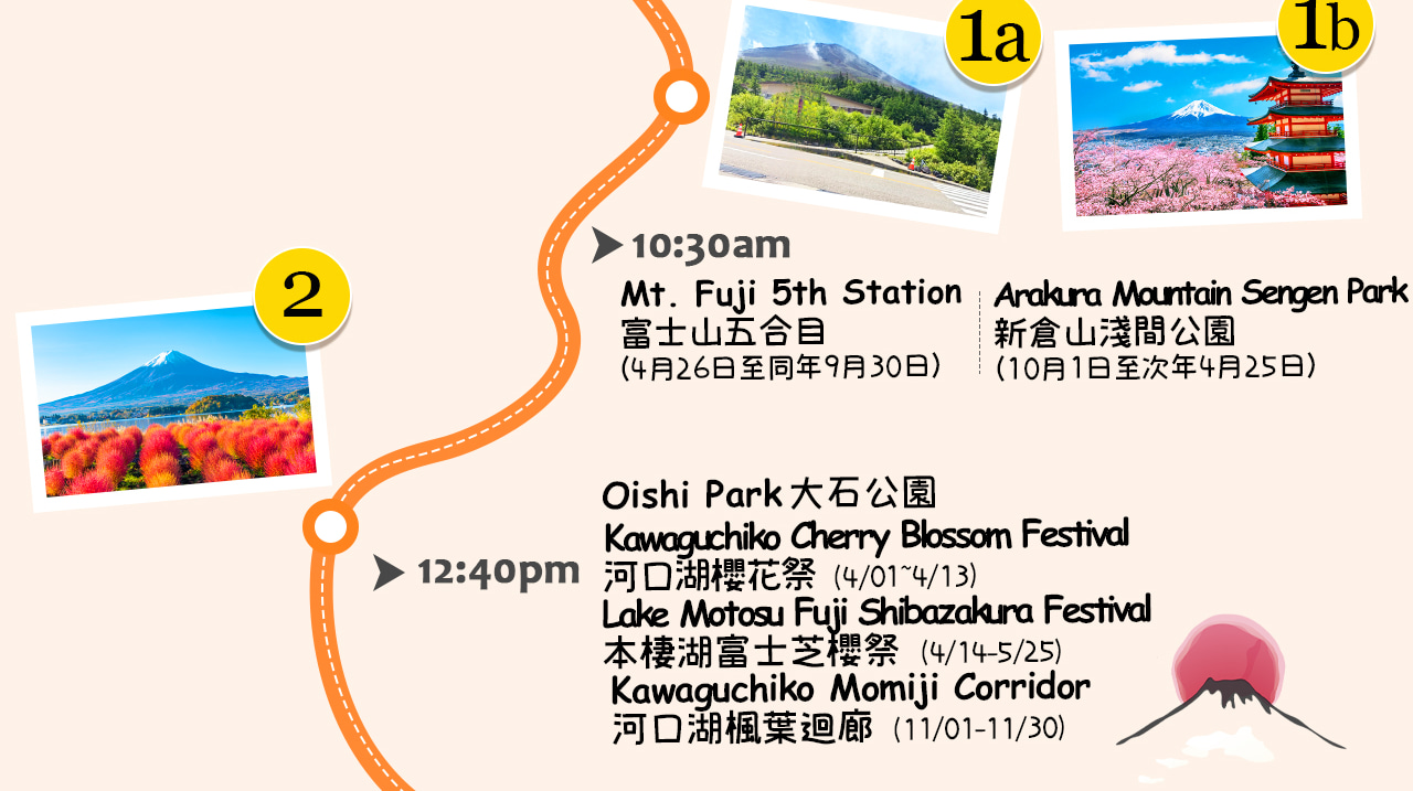 一圖看懂富士山四季限定之旅：春賞櫻、夏觀花、秋賞楓、冬觀雪，暢遊富士山與河口湖美景，還可自在選擇山中湖遊船或溫泉放鬆身心。