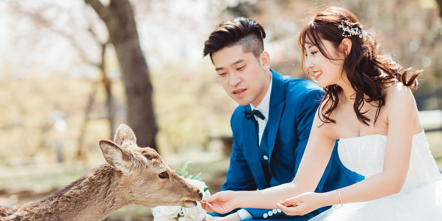奈良公園 - 廣闊的公園,有自由漫步的鹿群,並可欣賞東大寺的景色,提供有趣且標誌性的畫面。 奈良公園 - 廣闊的公園,有自由漫步的鹿群,並可欣賞東大寺的景色,提供有趣且標誌性的畫面。