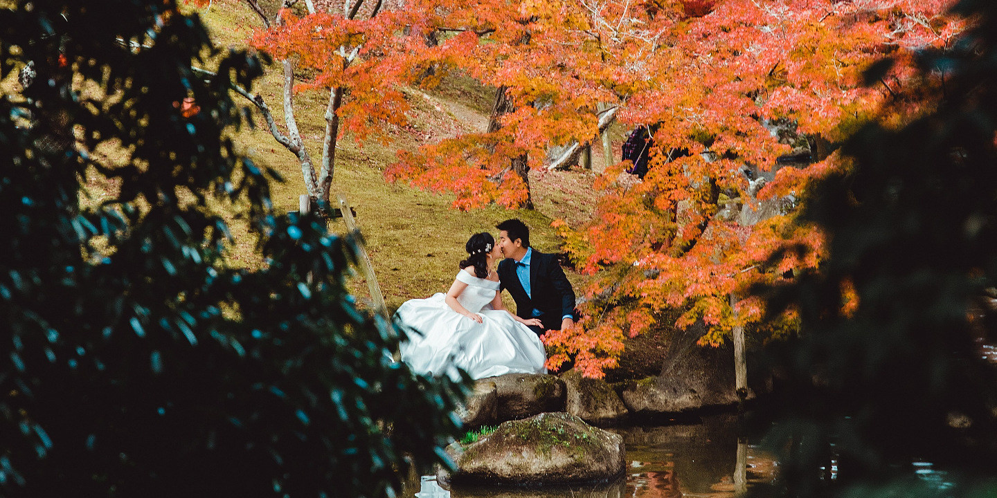 奈良公園 - 廣闊的公園,有自由漫步的鹿群,並可欣賞東大寺的景色,提供有趣且標誌性的畫面。 奈良公園 - 廣闊的公園,有自由漫步的鹿群,並可欣賞東大寺的景色,提供有趣且標誌性的畫面。