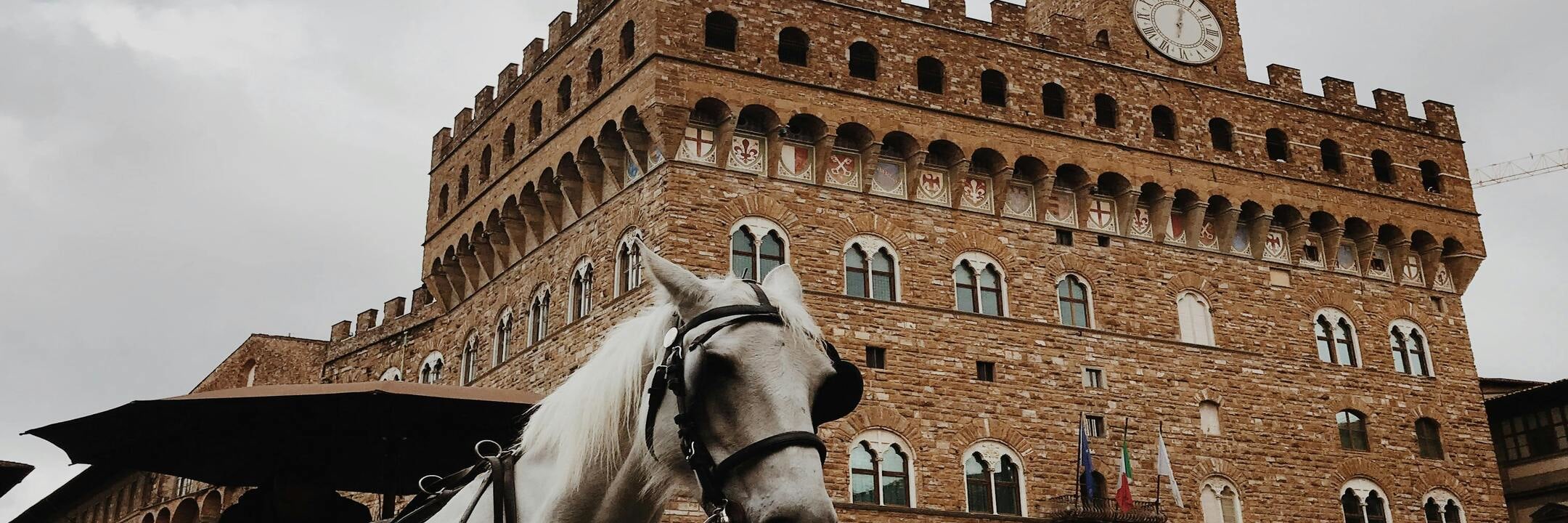 From Livorno: Florence Express Shuttle Service