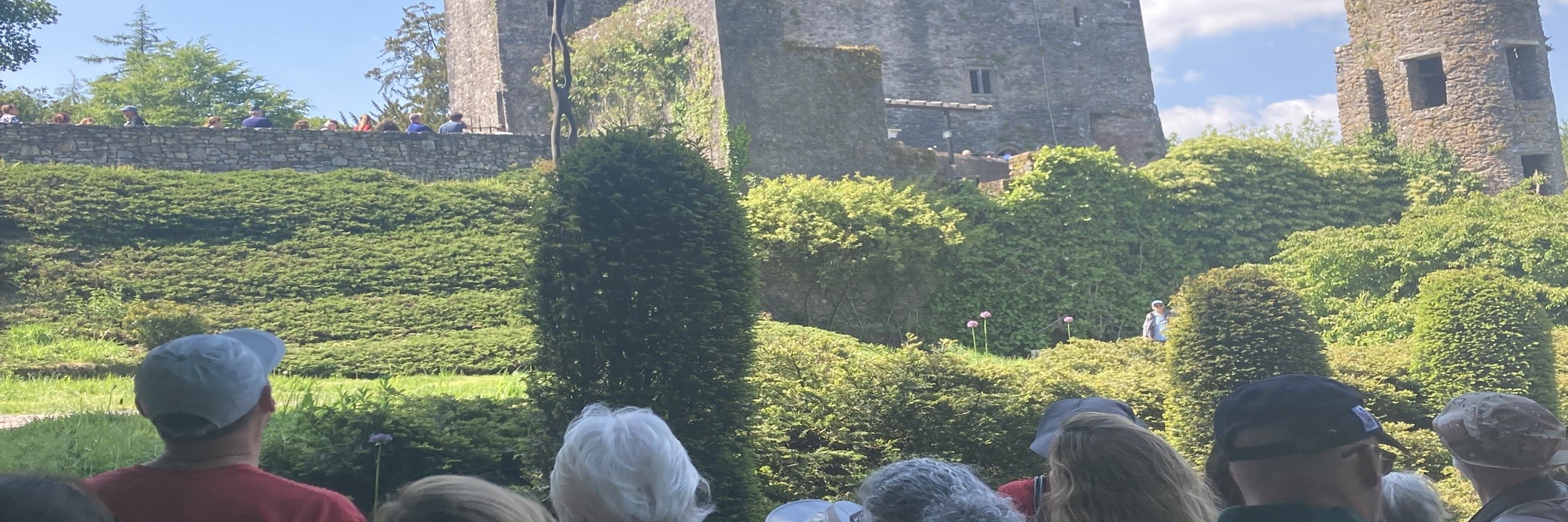 Cobh(Cork): Blarney Castle, Kinsale & Cork City Shore Tour