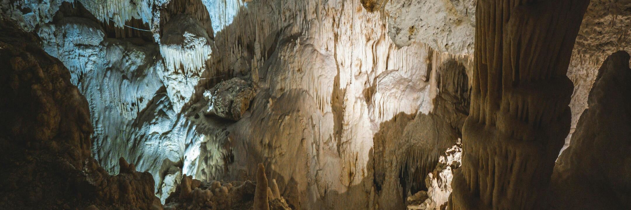 Gibraltar: Rock of Gibraltar and St. Michael's Cave Tour