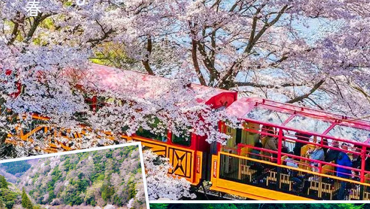 京都奈良嵐山一日遊 | 奈良公園喂小鹿&伏見稻荷千本鳥居&嵐山小火車&竹林小徑 |京都或大阪下車
