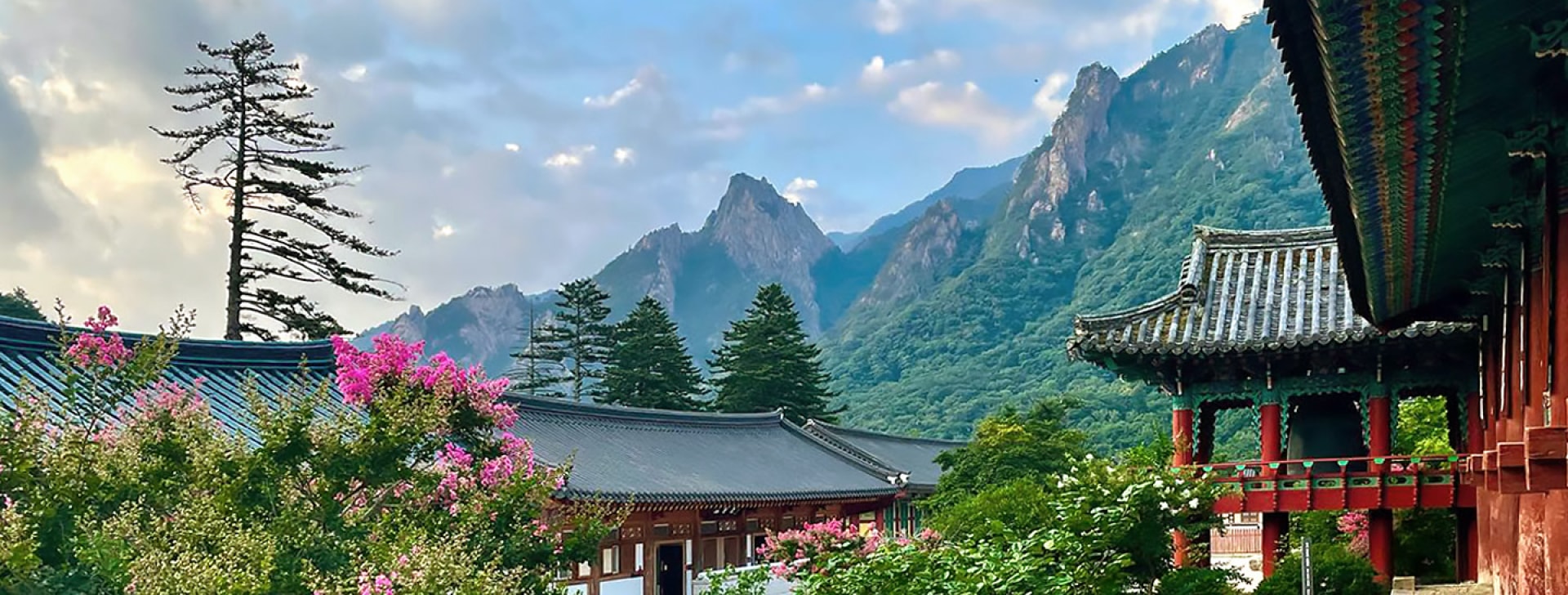 欣賞雪嶽山盛開的野花和清新的綠意，感受生機勃勃的景象。