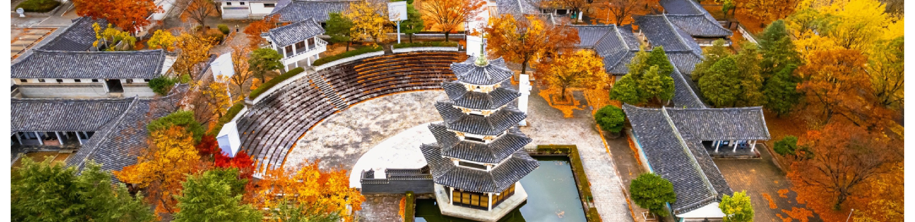慶州賞楓一日遊（釜山出發）