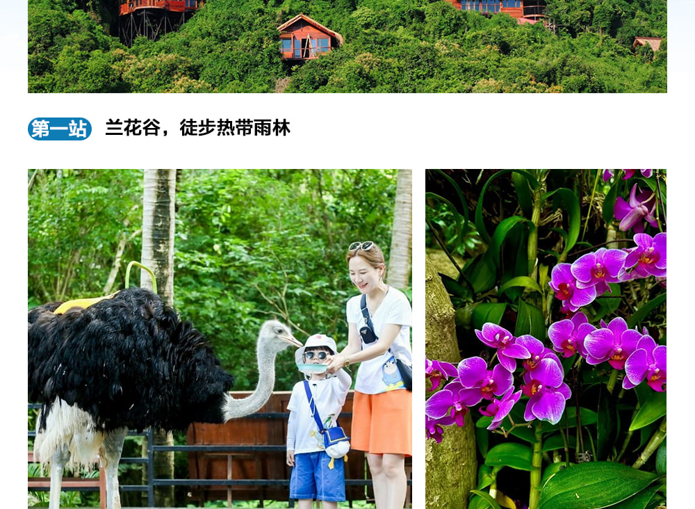 海南三亞奢宿私家5日（五鑽文華東方/嘉佩樂+後海衝浪+豪華遊艇出海+深海垂釣+蜈支洲島+熱帶天堂森林公園+亞龍灣沙灘+南山觀音）