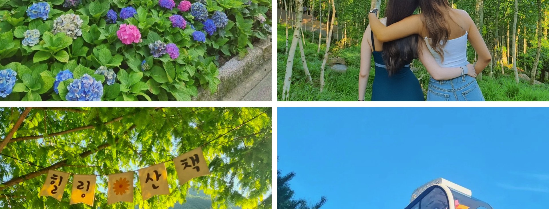 植物園裡鮮花盛開，小路綠樹成蔭，是您放鬆身心、遠離城市喧囂、欣賞大自然美景的理想場所。