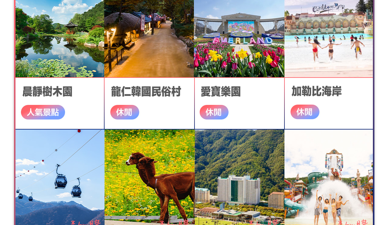 首爾包車一日遊：首爾市區/愛寶樂園/南怡島/羊駝樂園/江村鐵路公園可選
