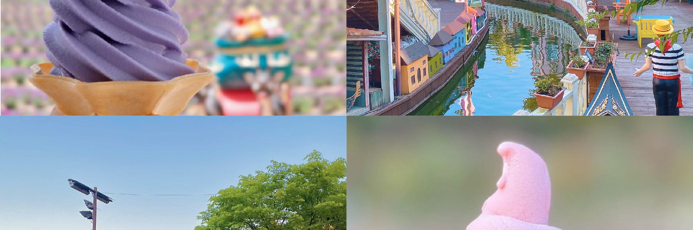浦川 & 季節性熱門景點一日遊