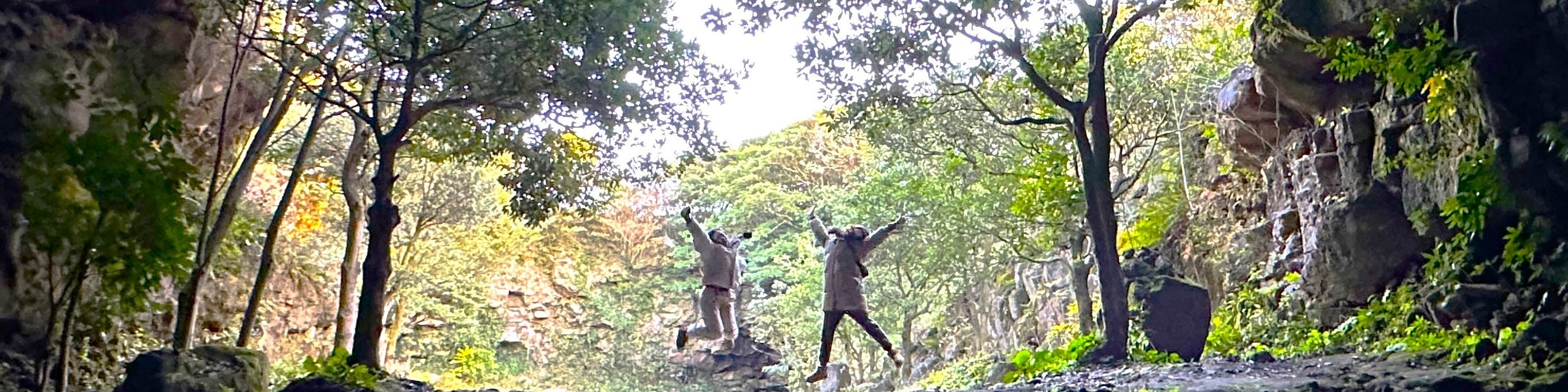 濟州療愈聯合國教科文組織小團體一日遊