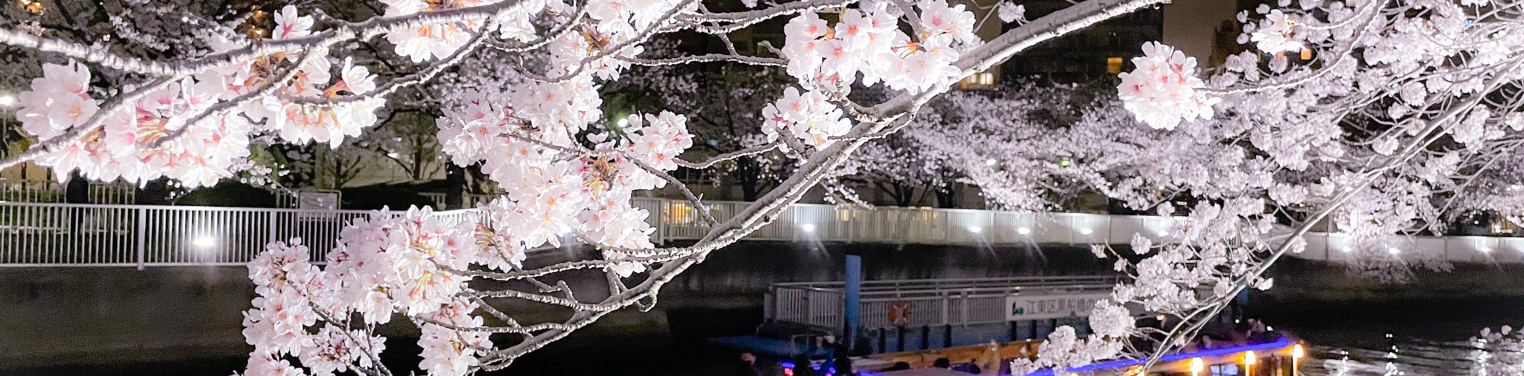 Osaka Dotonbori Naniwa Sightseeing Boat