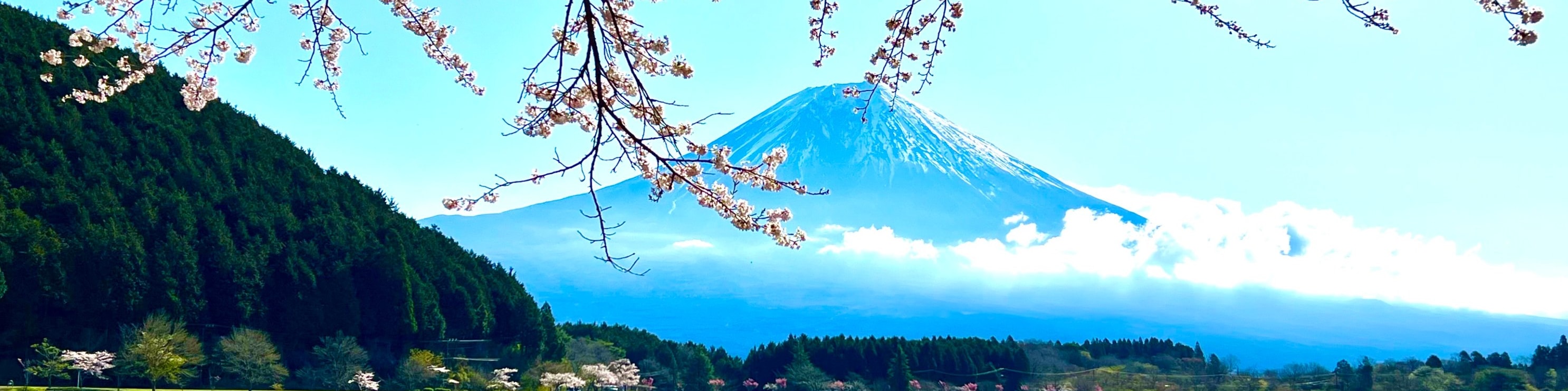 日本富士山田貫湖兩日露營體驗＆裝備租借