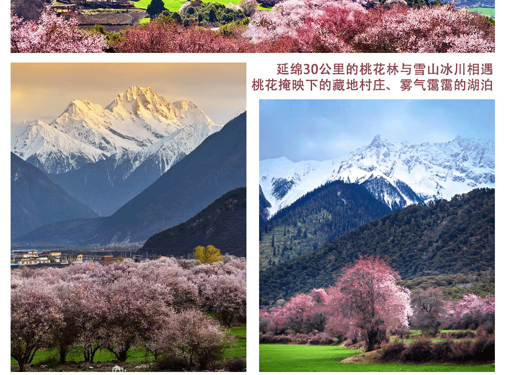 西藏林芝桃花6日（天后同款瑞吉/松贊系列+南迦巴瓦日照金山&平措康桑雪裡酒店+嘎拉桃花村+索松村+卡若拉冰川+私導講解布達拉宮大昭寺）