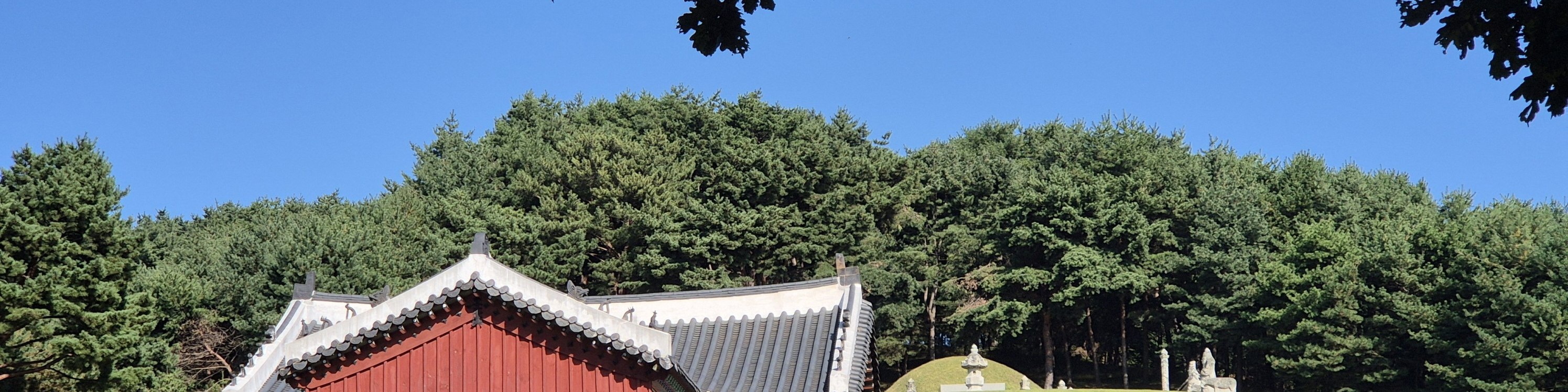 Suwon Hwaseong fortress and Starfield library tour 