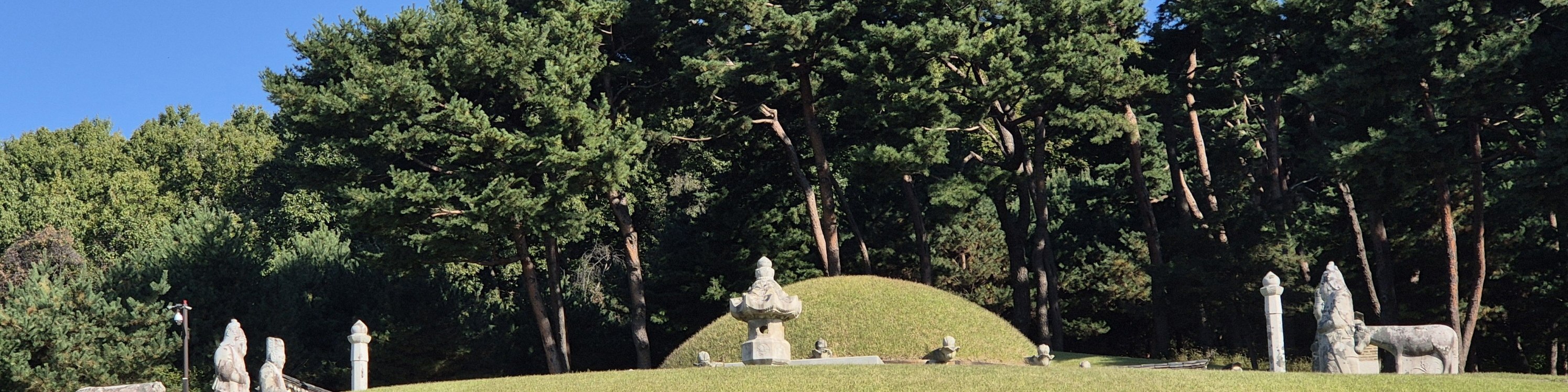 Suwon Hwaseong fortress and Starfield library tour 