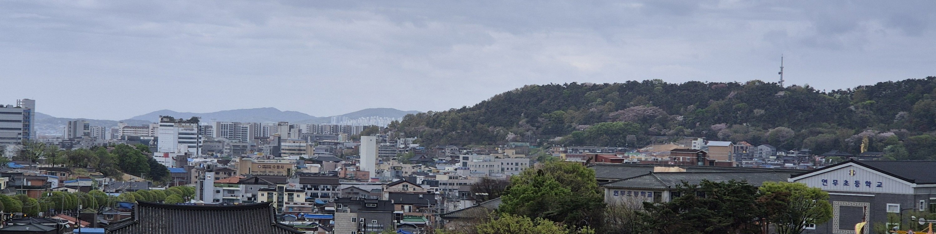 Suwon Hwaseong fortress and Starfield library tour 