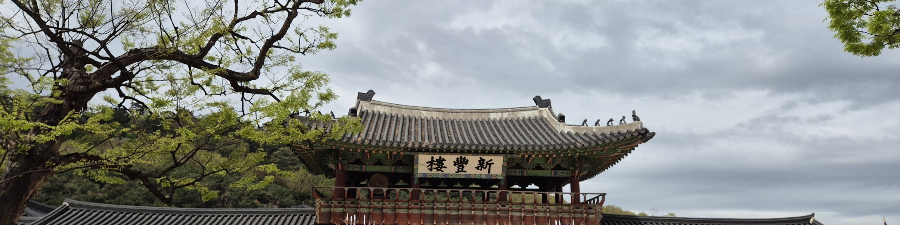Suwon Hwaseong fortress and Starfield library tour 