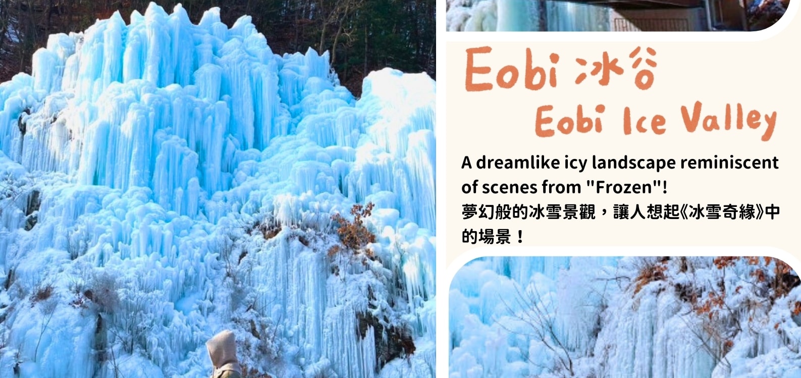 三岳山纜車 / 晨靜樹木園 燈光節 / 採摘草莓 / Eobi冰谷 / 雪橇 一日遊