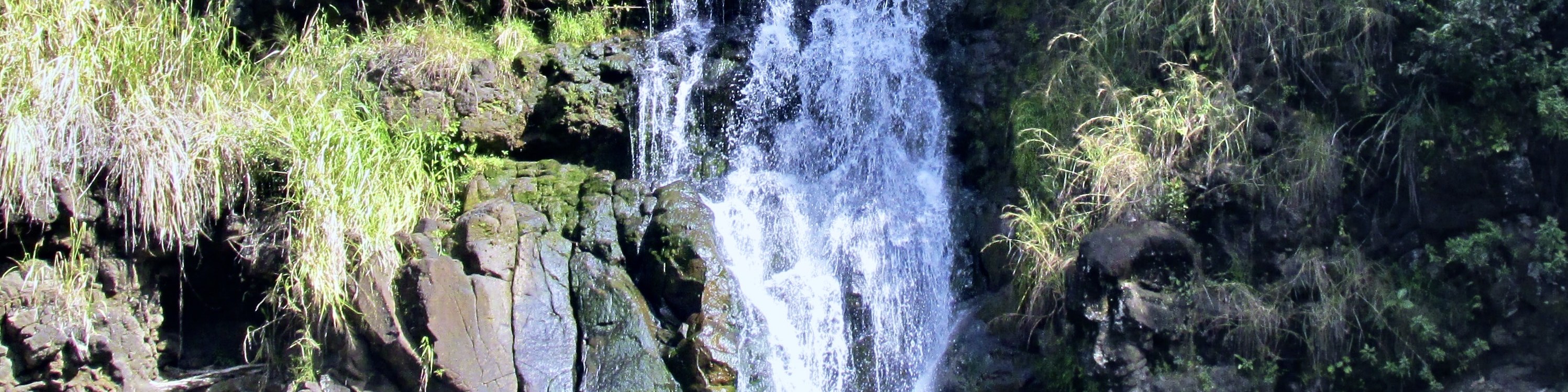 Island Tour + Snorkel + Waterfall - from KoOlina - Thumbnail 9