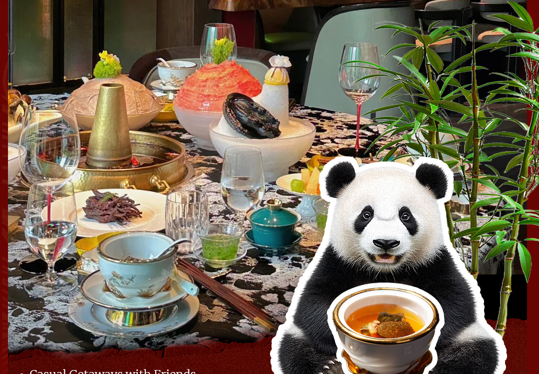 Noble Taste·Turtle Hotpot | Youfang Store