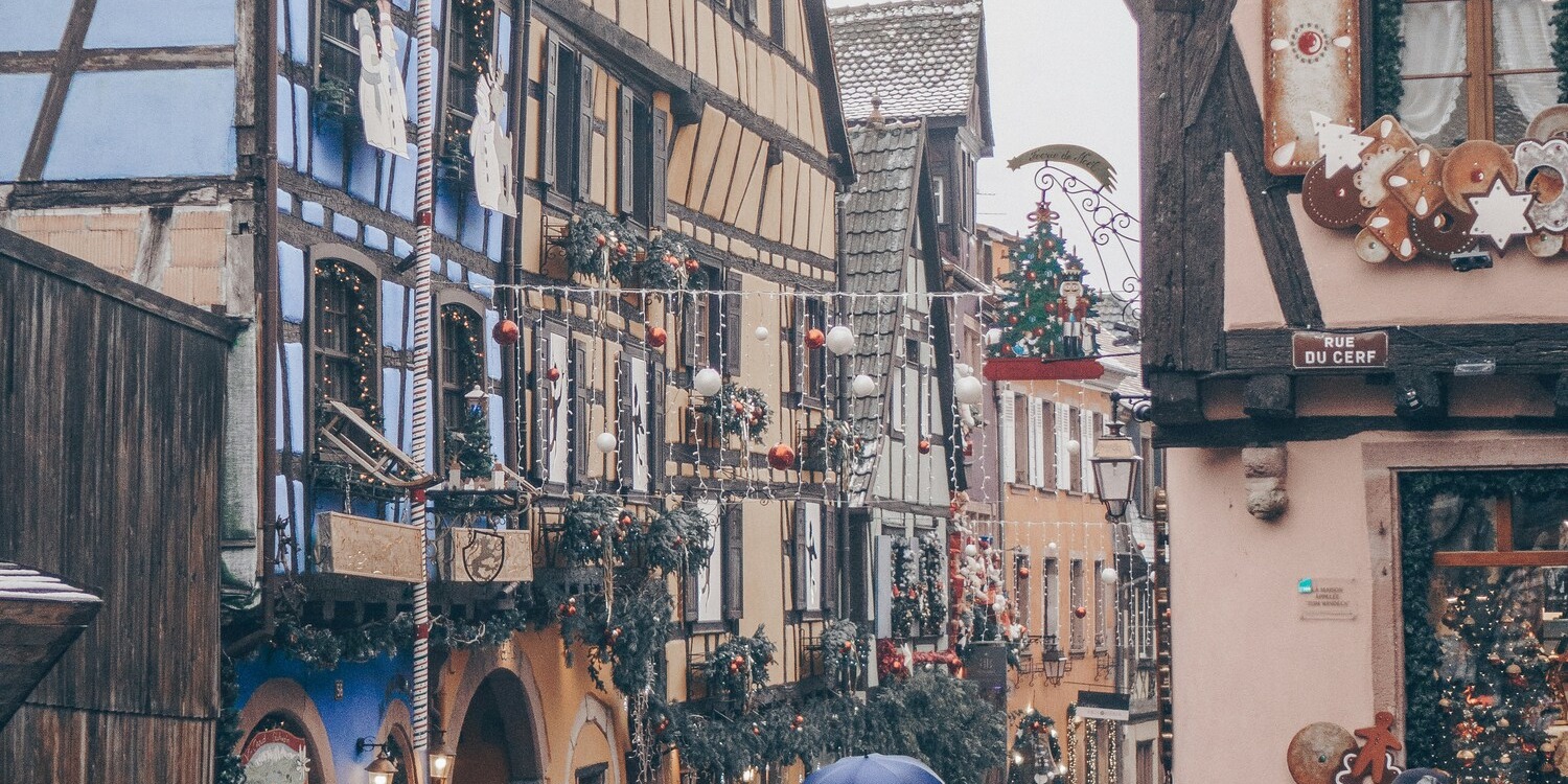 Strasbourg, Colmar, Eguisheim, Riquewihr: Private Tour