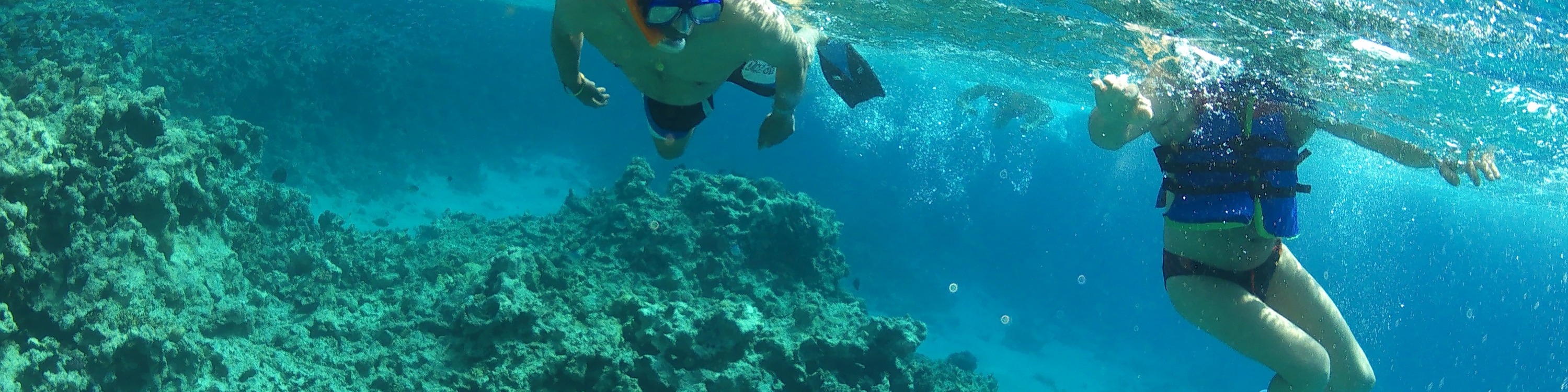 奧蘭治灣浮潛之旅（Orange Bay Island Snorkeling Trip）含水上運動 - 赫爾格達