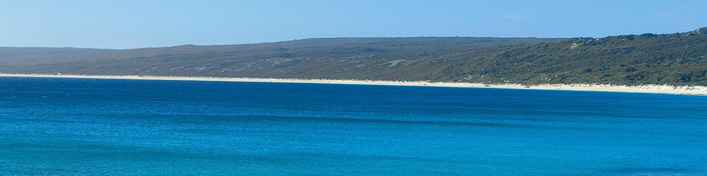 盡情沉浸在碧綠的哈梅林海灘 盡情沉浸在碧綠的哈梅林海灘