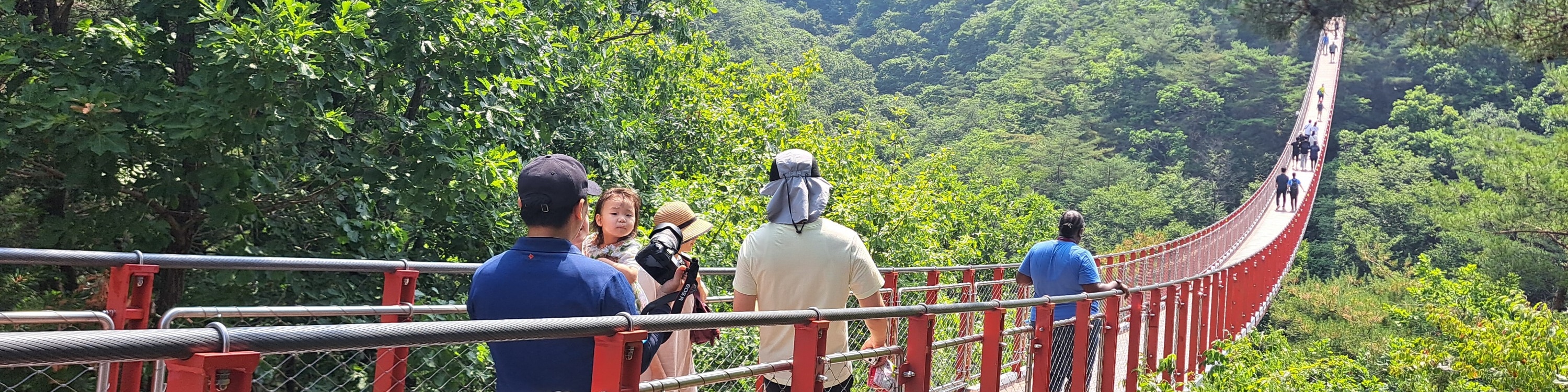 DMZ 非軍事區＆纜車／吊橋之旅（首爾出發）