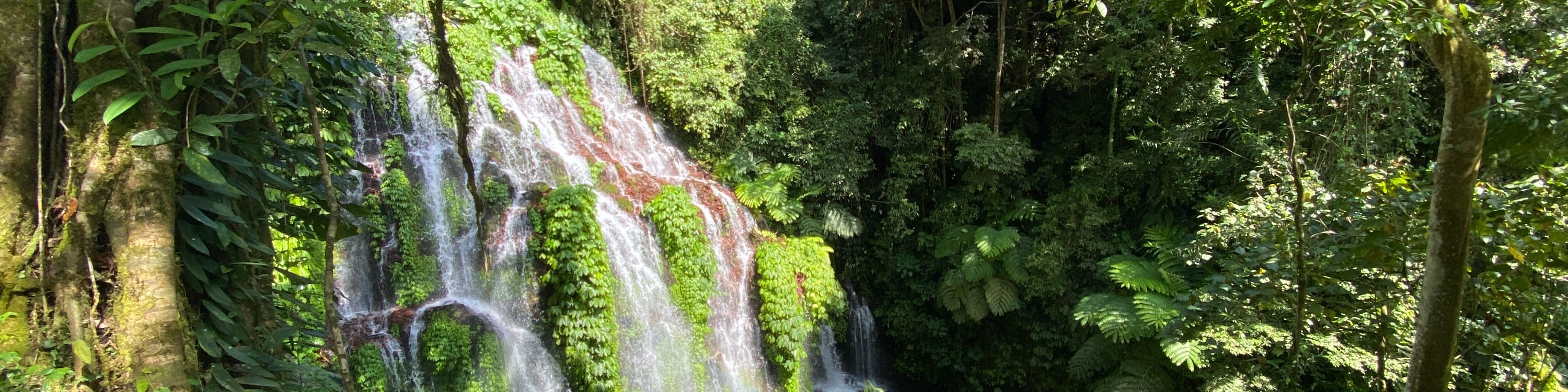 巴厘島北部瀑布 & 稻田徒步一日遊