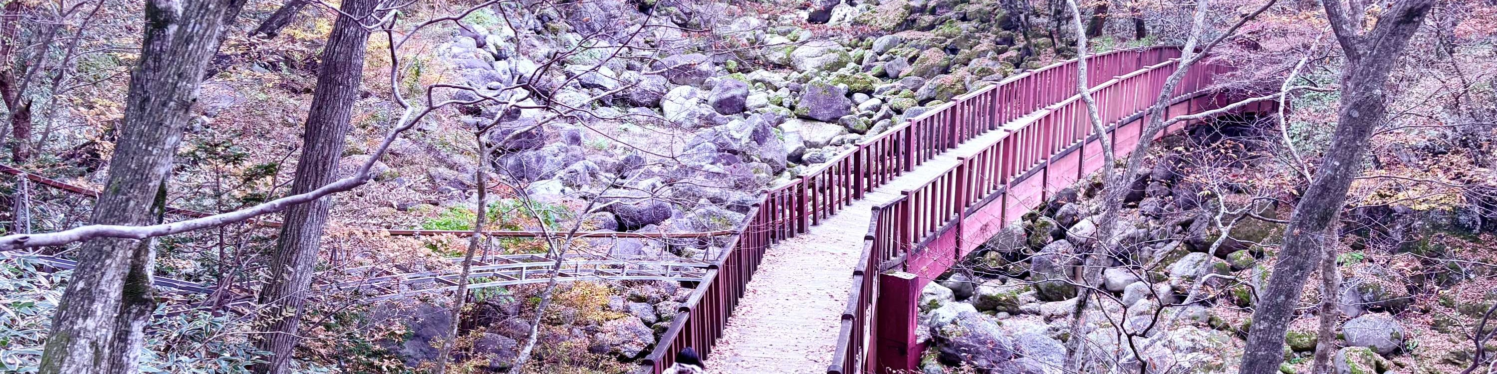 體驗漢拏山,沿著平坦的短途步道前往御裡牧橋,穿過佈滿熔岩石的乾涸溪谷(20分鐘)。 體驗漢拏山,沿著平坦的短途步道前往御裡牧橋,穿過佈滿熔岩石的乾涸溪谷(20分鐘)。