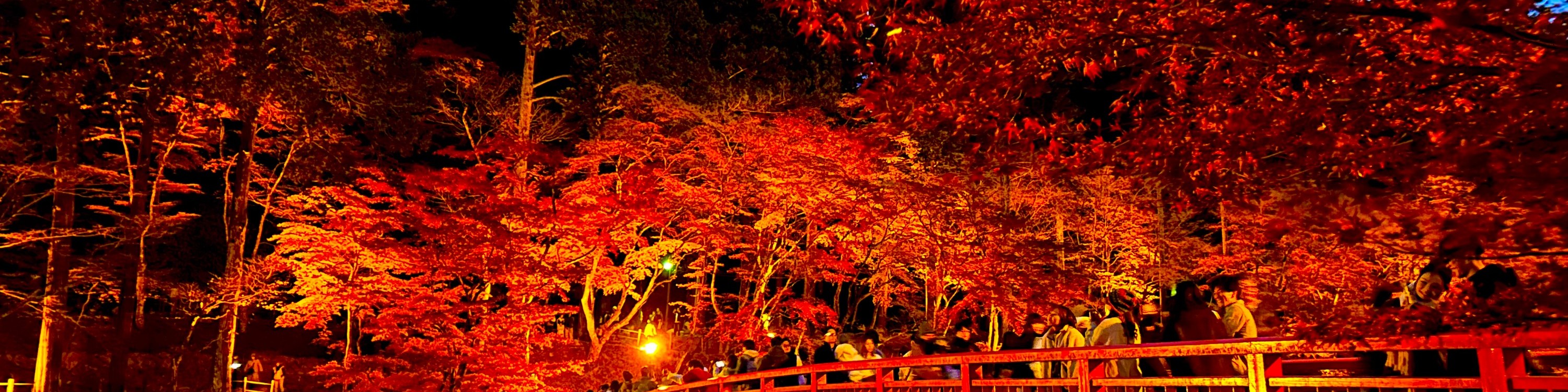 永保寺＆香嵐溪賞楓葉＆四季櫻一日遊（名古屋出發）