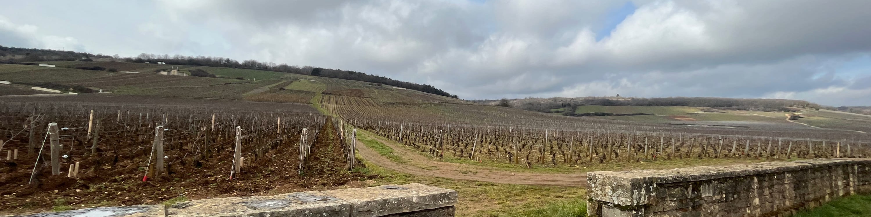 Burgundy Grands Crus Route Day tour & tasting including 14 wines