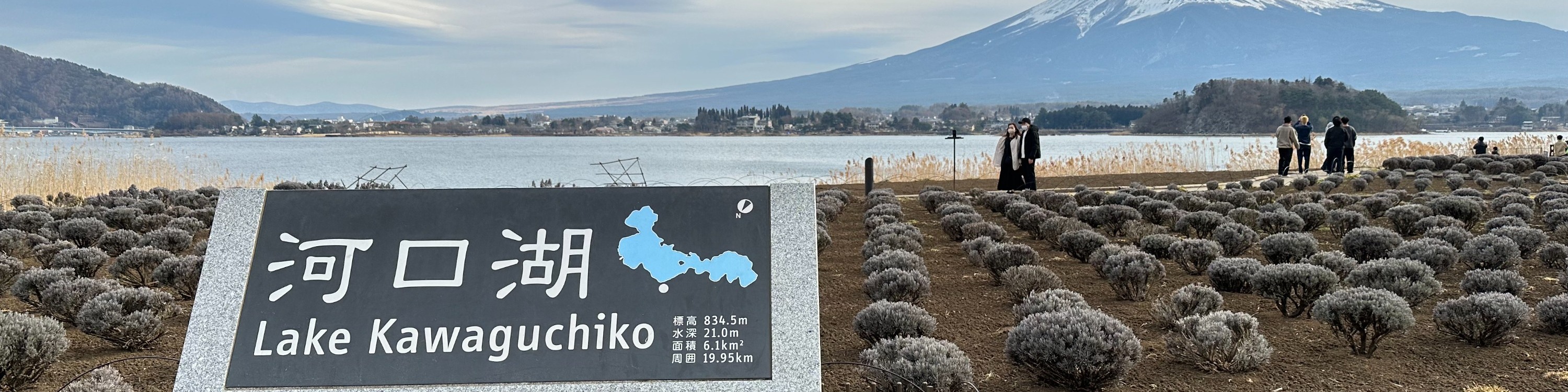 富士山 & 大石公園 & 新倉山淺間公園一日遊（含午餐）