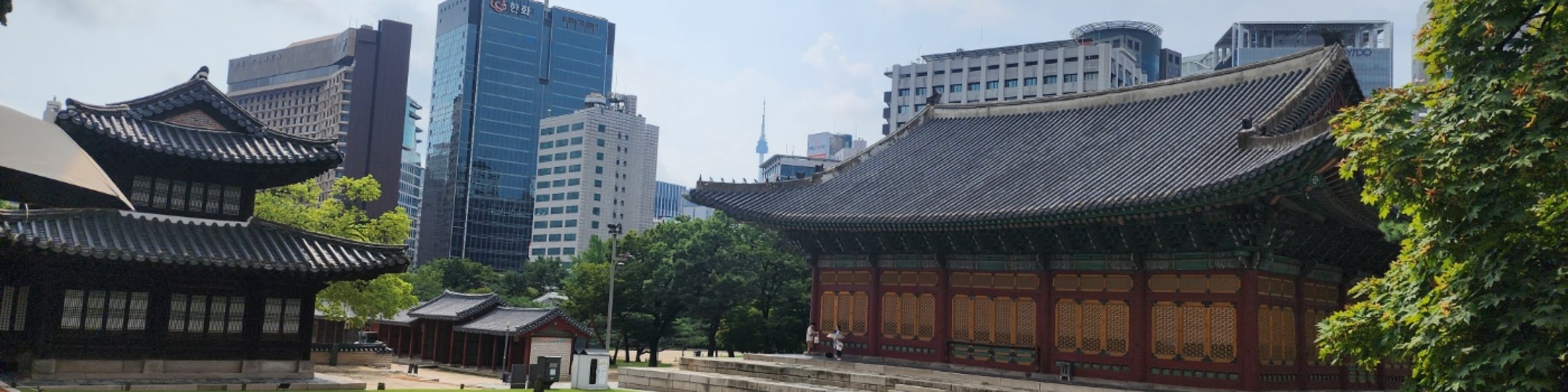 Seoul Half-Day Tour: Deoksugung Palace & N Seoul Tower Highlights