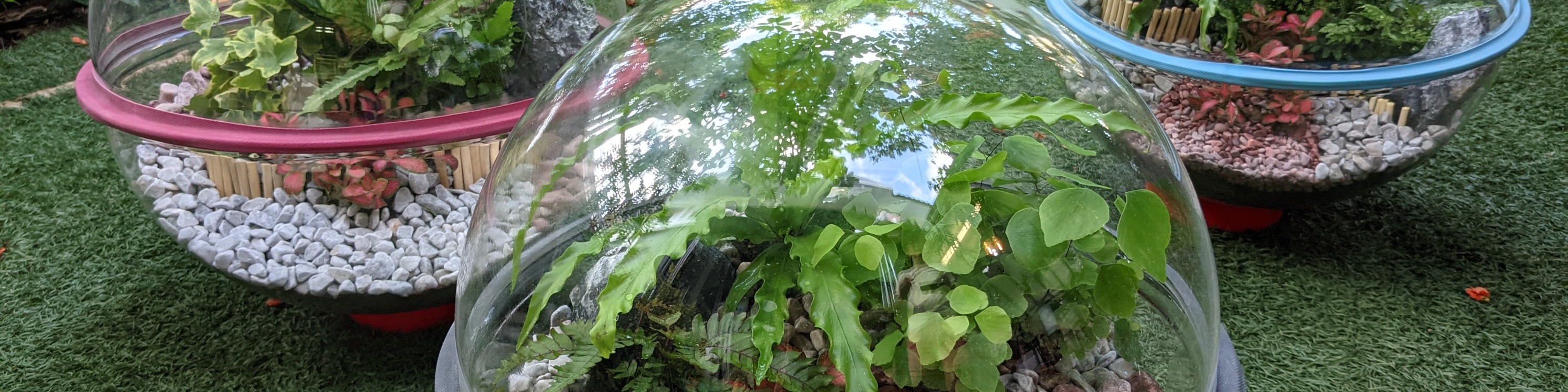 The Sundowner 大型植物缸工作坊