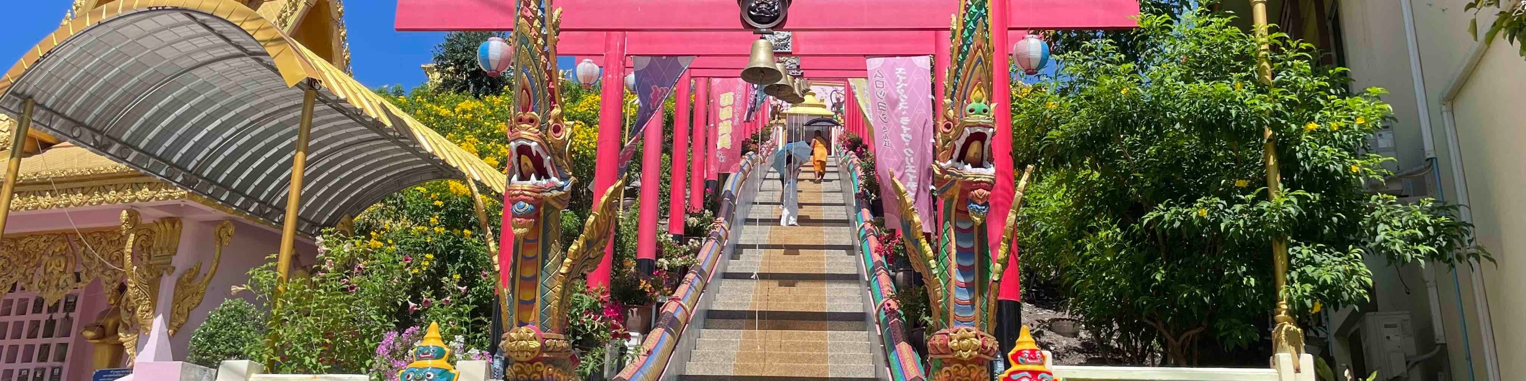水牛城 & 天體之城 & 招財貓寺廟和市場一日遊