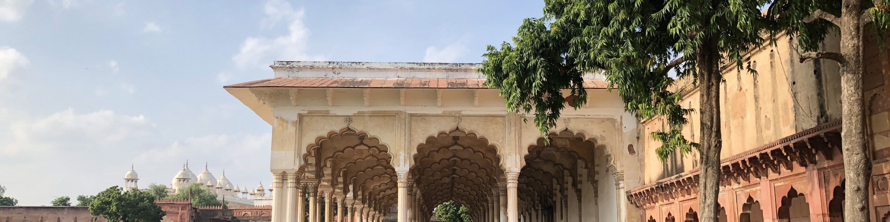 泰姬瑪哈陵 (Taj Mahal) 與阿格拉 (Agra) 一日遊（德里 (Delhi) 出發，多種選擇）