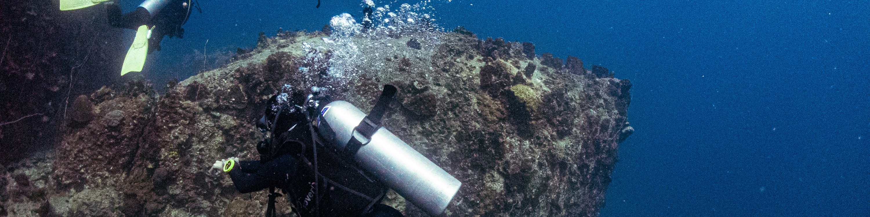 濤島開放水域課程體驗