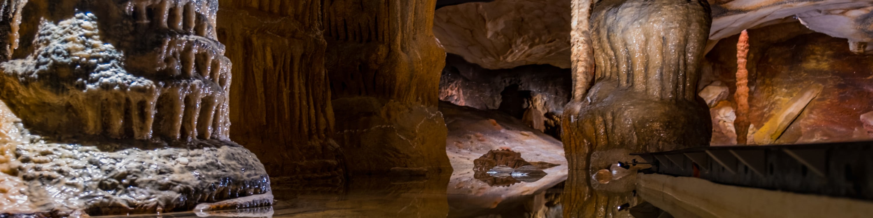 Cosquer Cave Ticket in Marseille