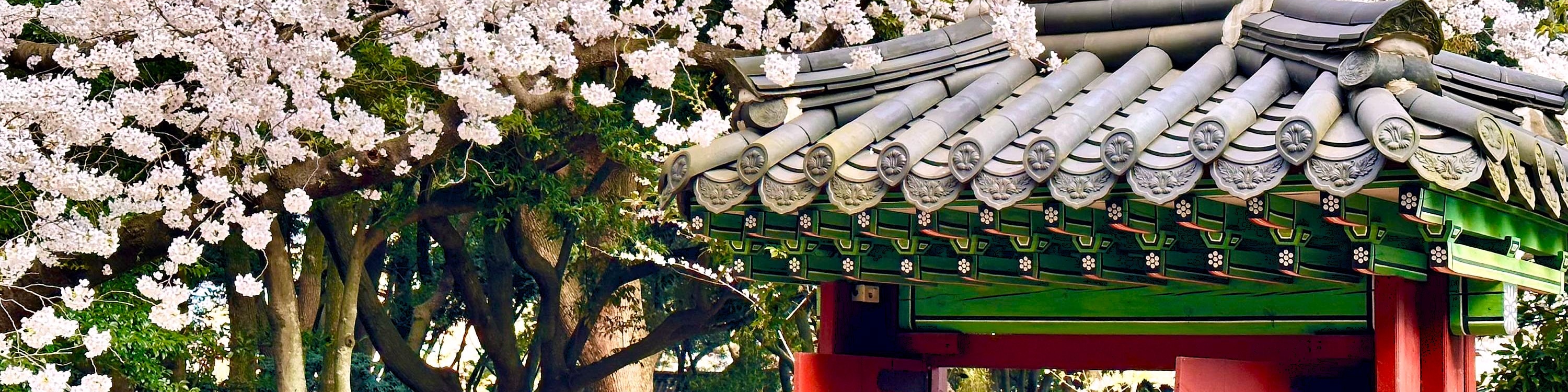 三姓穴是捕捉櫻花之美、傳統韓屋建築和濟州熔岩石牆的完美地點,所有這些都能盡收眼底。 三姓穴是捕捉櫻花之美、傳統韓屋建築和濟州熔岩石牆的完美地點,所有這些都能盡收眼底。