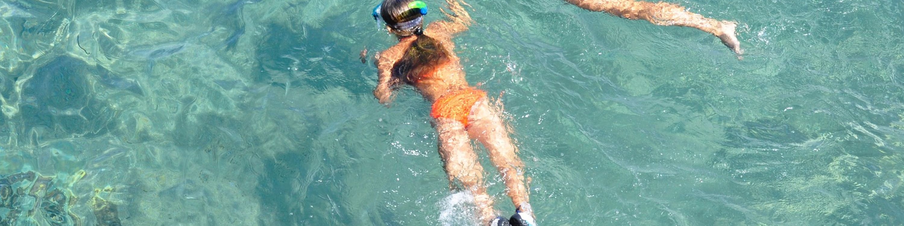 基韋斯特海豚觀賞遊船和浮潛體驗